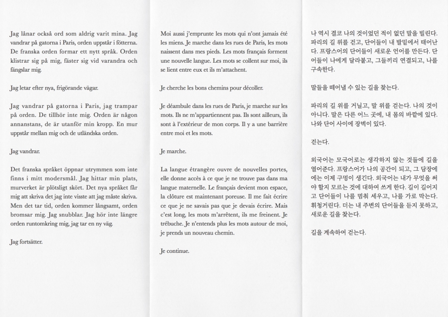 http://www.annamezey.com/files/gimgs/th-19_page 5_Ainsi-j’emprunte-les-mots-qui-n’ont-jamais-été-les-miens.jpg